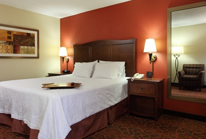 Hampton Atlanta-cumberland Mall/cobb Galleria Area 3* Smyrna